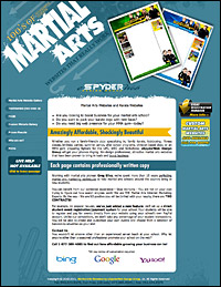eSpyderWeb Design Group - Martial Arts Websites and Karate Web sites